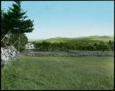 Valley of the Mackenzie Brook, View Southwest. Near Moriah.