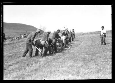 Unemployed Planting Trees on State Reforestation Area No. 2, Manorkill, N.Y.