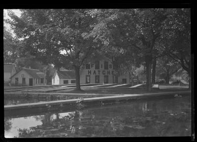 Caledonia Hatchery