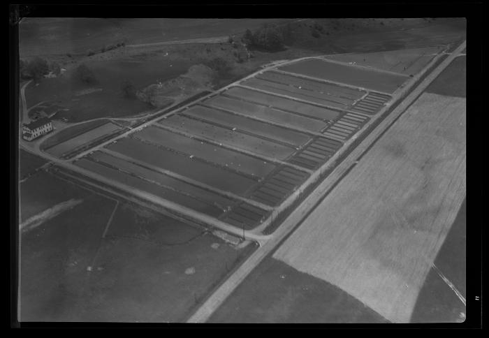 South Otselic Fish Hatchery