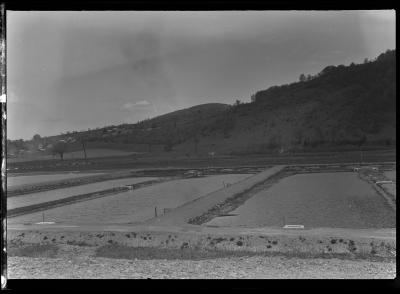 South Otselic Hatchery Bass Beds