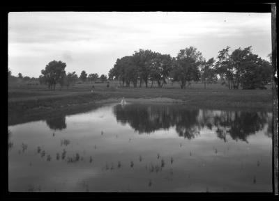 Bass Ponds, St. Lawrence Fish Hatchery