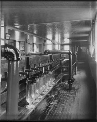 State Fish Hatchery. Apparatus for Hatching Whitefish Eggs