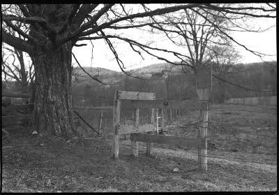 Wiscoy Creek, Stream Improvement