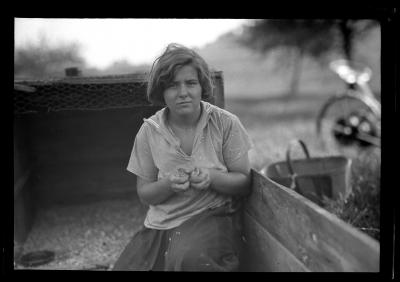 Pheasants, 4-H Club, Katherine Weatherwax, Ren. Co. with Pheasant Chicks Being Reared for Liberation