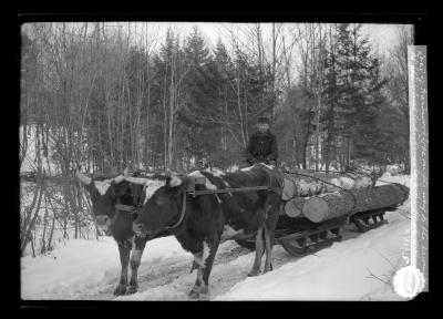 Load of Hardwood Logs on the Way to the Sawmill at Stoney Creek Centre, Warren Co., N.Y.