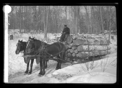 Load of Spruce Near Elen Lake, Hamilton Co.