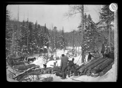 A Rollway Near Elen Lake, Hamilton Co., N.Y.