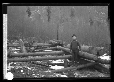 Skidway for Logs in the Catskills, Figure Jas S. Whipple