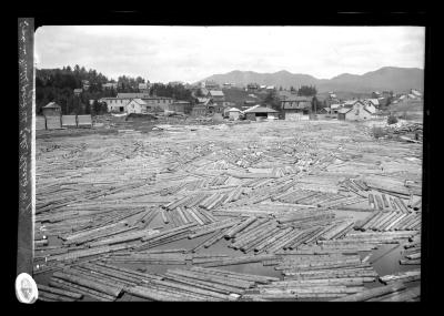 Logs in Mill Pond at Lake Placid, N.Y.