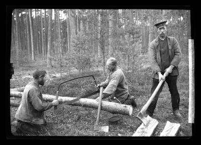 Cutting Firewood, Foostaufsher and Blanck at Right Grabber i Mech