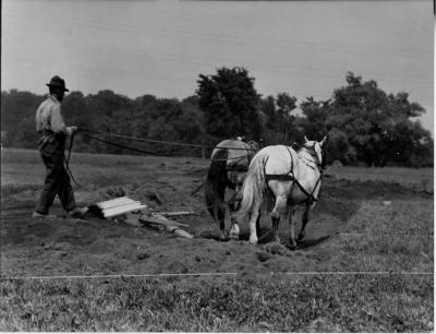 Plowing