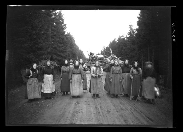 Gathering Firewood in Germany, 1904