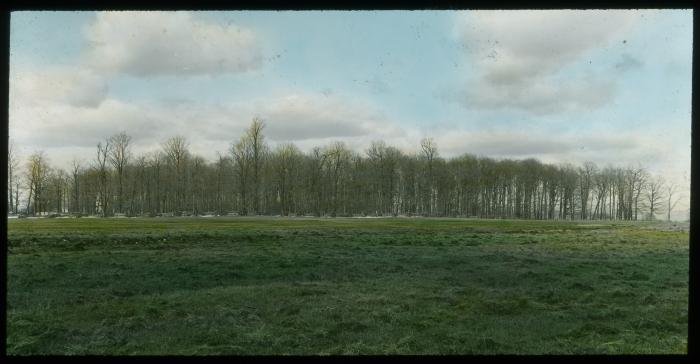 Distant View of Maple Sugar Bush of 600 Trees, Near Lowville, N.Y.