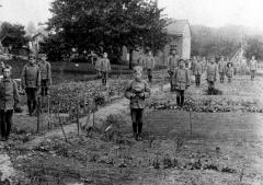 Criminal Justice. Young Inmates at the State Agricultural and Industrial School