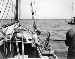 Oyster Boat. Great South Bay