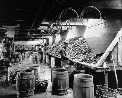 Labor - Workmen Shelling Oysters