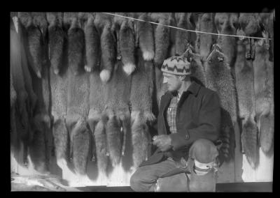 Ed Mauton of Greenville (Asst. in Fur Resources P.R. Project) Showing Some of Fox Pelts He Trapped in the Greenville-Berne area in 40 Days