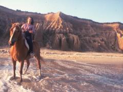 Long Island, woman riding a horse on a beach