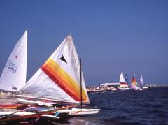 Long Island, sailboats racing