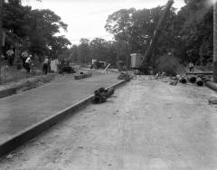 Palmer Avenue, Yonkers, NY 