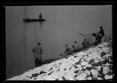 Seining for Ciscoes or Herring in Sodus Bay