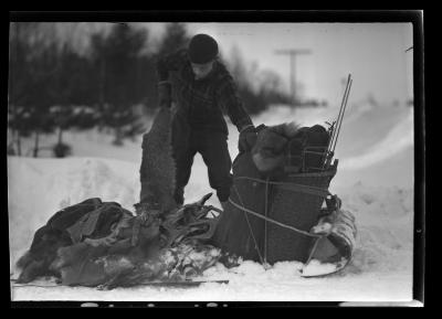 Fox Trapping, Babcock