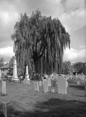 Pioneer Cemetery in Canandaigua, New York. October 11, 1937