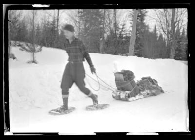 Fox Trapping, Babcock