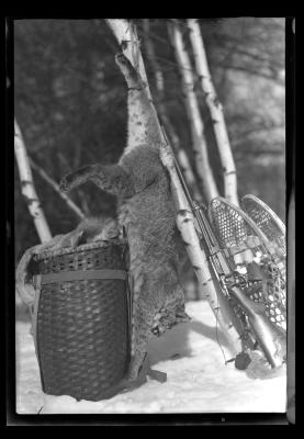 Wildcat CBS Hanging From Tree in Woods with Park Basket & Snow-Shoes