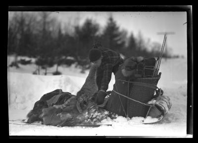 Fox Trapping, Babcock