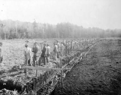 Mental Health Custodial Facilities. Clearing Peat Bog