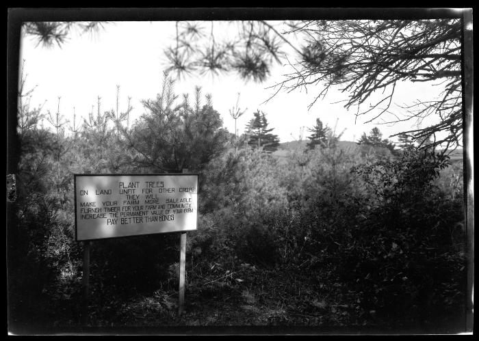 Sign advertising the planting of trees posted for Forestry Field Day at Pine Grove Farm in Delaware County