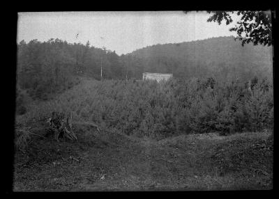 Plantation at the Glens Falls Reservoir