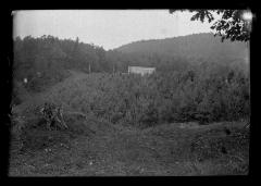 Plantation at the Glens Falls Reservoir