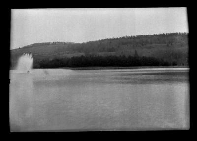 Scotch pine plantation 13 years old, Ilion Reservoir, Aerator on left of picture