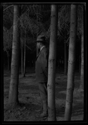 C.T. Dietrich stands among pine trees at a plantation in Millbrook, N.Y.