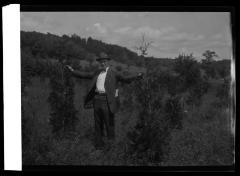 Unidentified man standing with two young pines in New York State