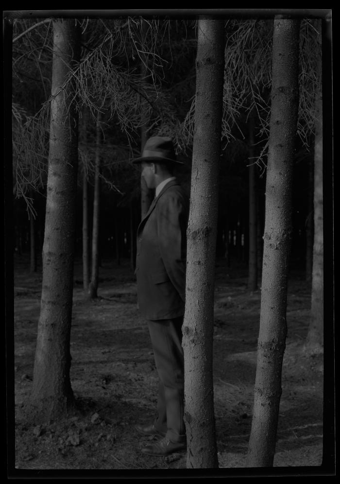 C.T. Dietrich stands among pine trees at a plantation in Millbrook, N.Y.