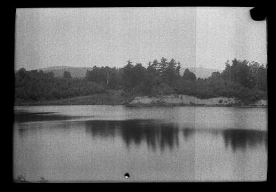 New York State lake surrounded by pine trees