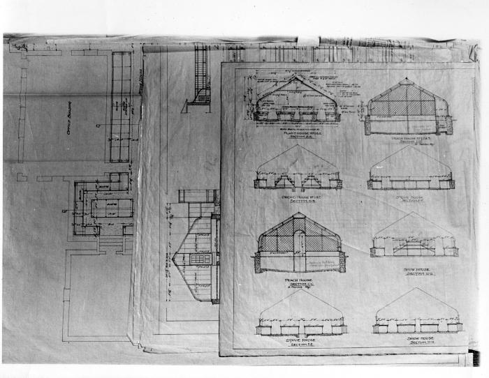 Botanical Garden Blueprint