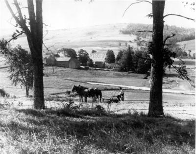 Agriculture. Farm Scene.