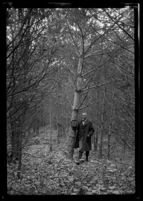 Unidentified man stands at the base of a pine tree in New York State