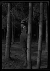 C.T. Dietrich stands among pine trees at a plantation in Millbrook, N.Y.