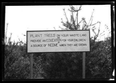 Sign advertising the planting of trees posted during the Forestry Field Day at Pine Grove Farm in Delaware County