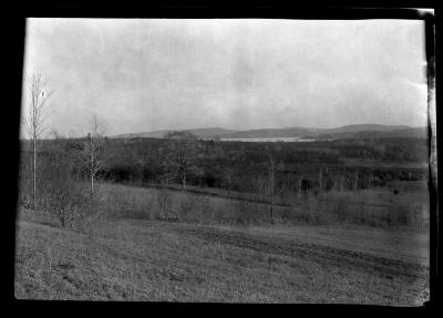 300 acres scotch pine, Ashokan Reservoir