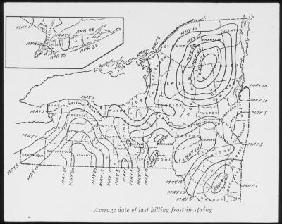 Map of New York State Showing Average Date of Last Killing Frost in Spring