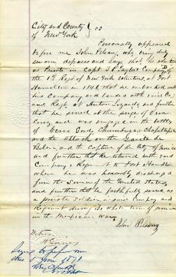 Affidavits from New York County for John Pelsany