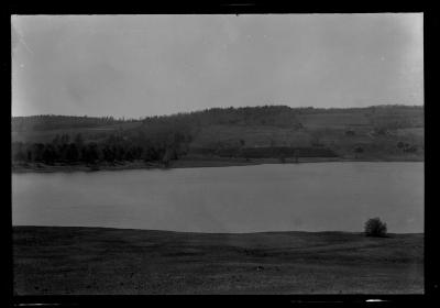 Scotch pine plantation on the Oneonta watershed