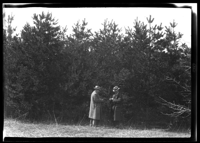 Two unidentified men talk at the edge of a pine plantation